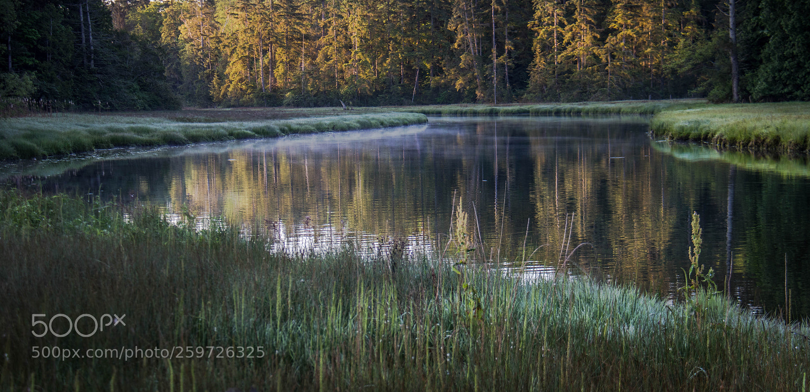 Canon EOS 7D Mark II sample photo. A w a k photography