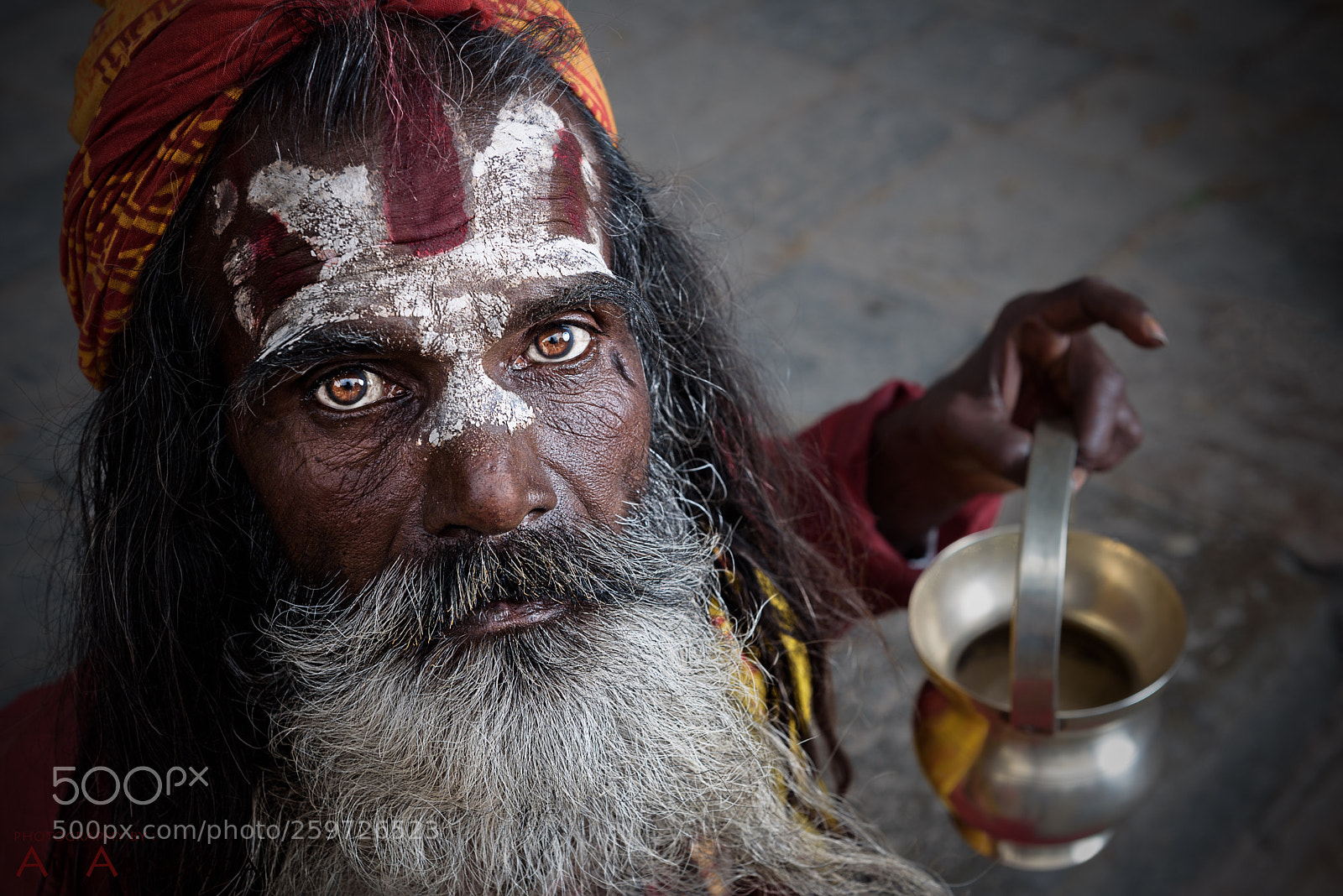 Nikon D750 sample photo. Sadhu man photography