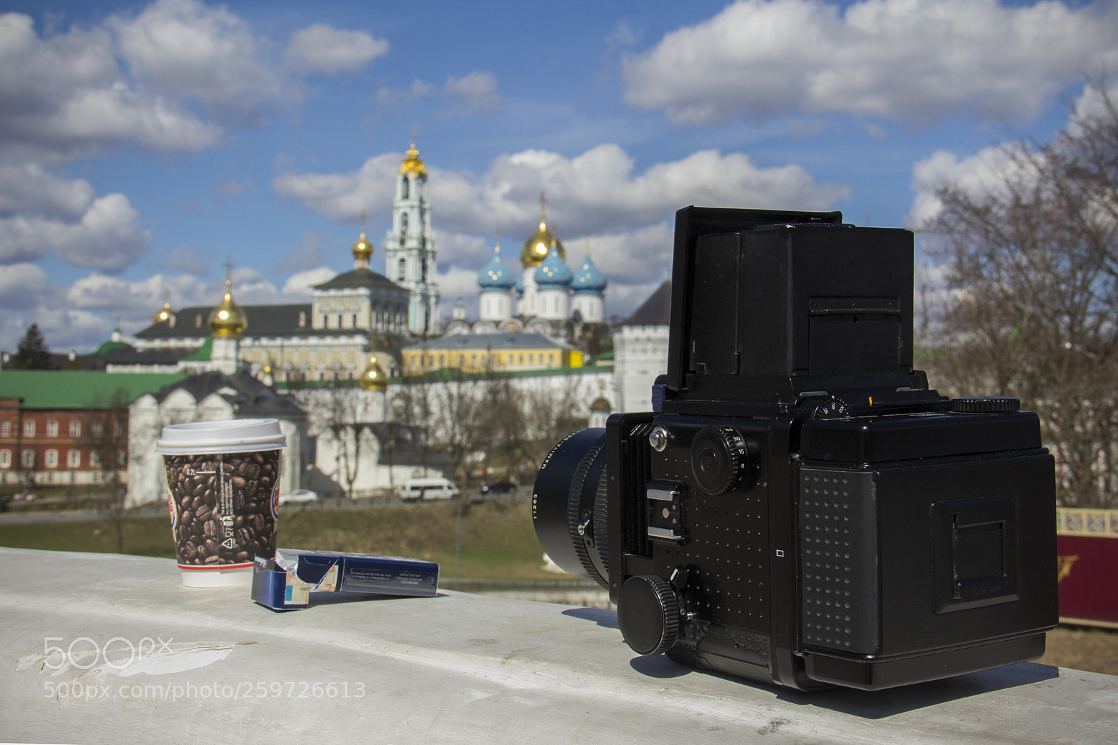 Canon EOS 60D sample photo. Rz67 photography