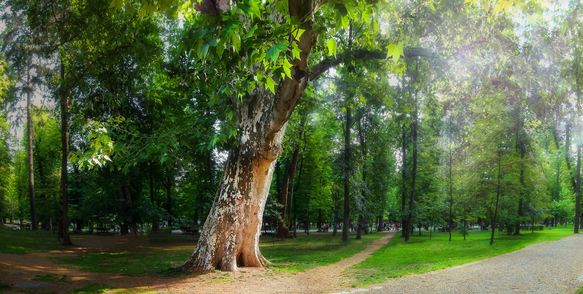 Olympus VR360,D760 sample photo. Pano photography