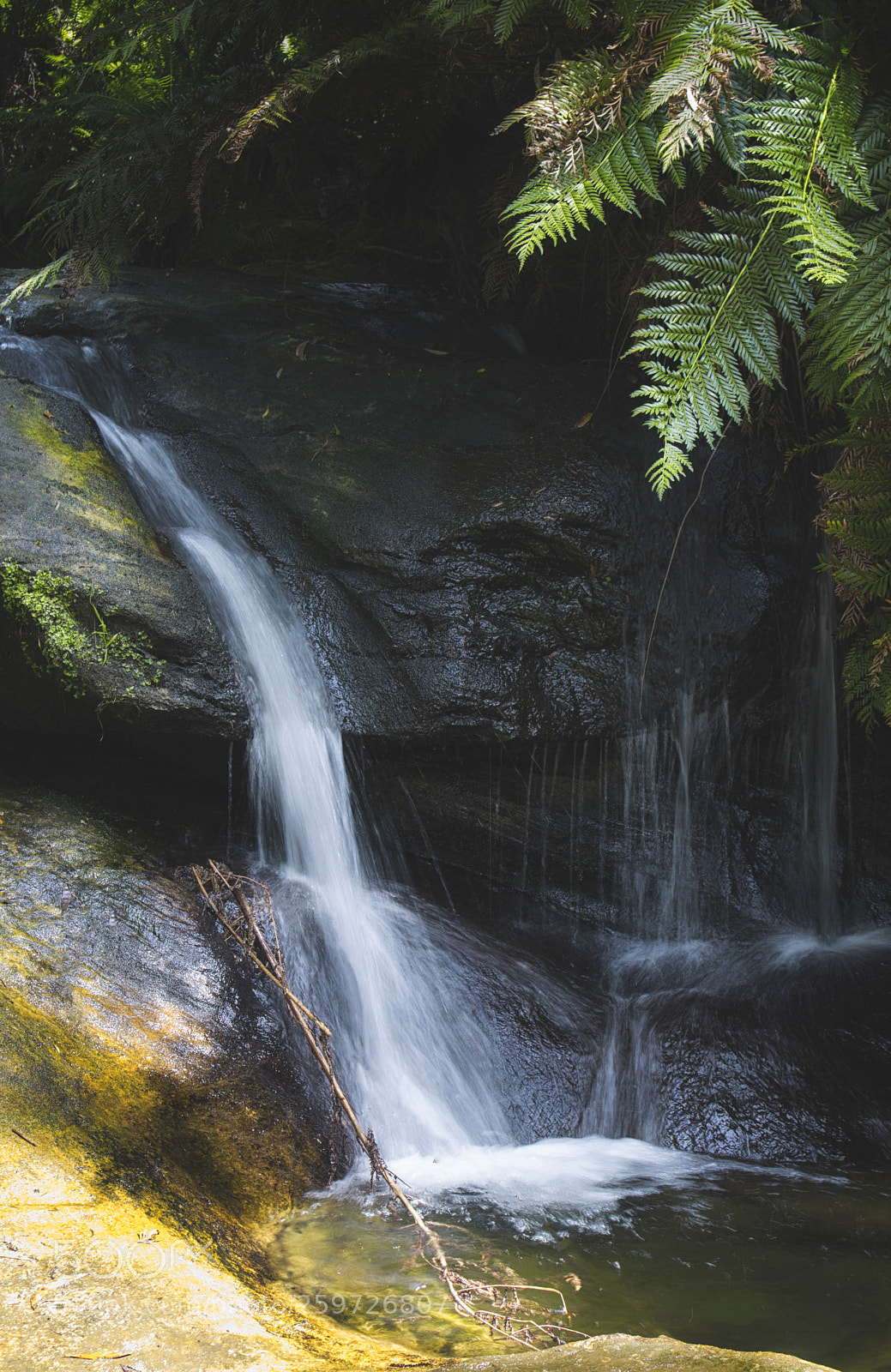 Canon EOS 750D (EOS Rebel T6i / EOS Kiss X8i) sample photo. Jungle vibes pt. 2. photography
