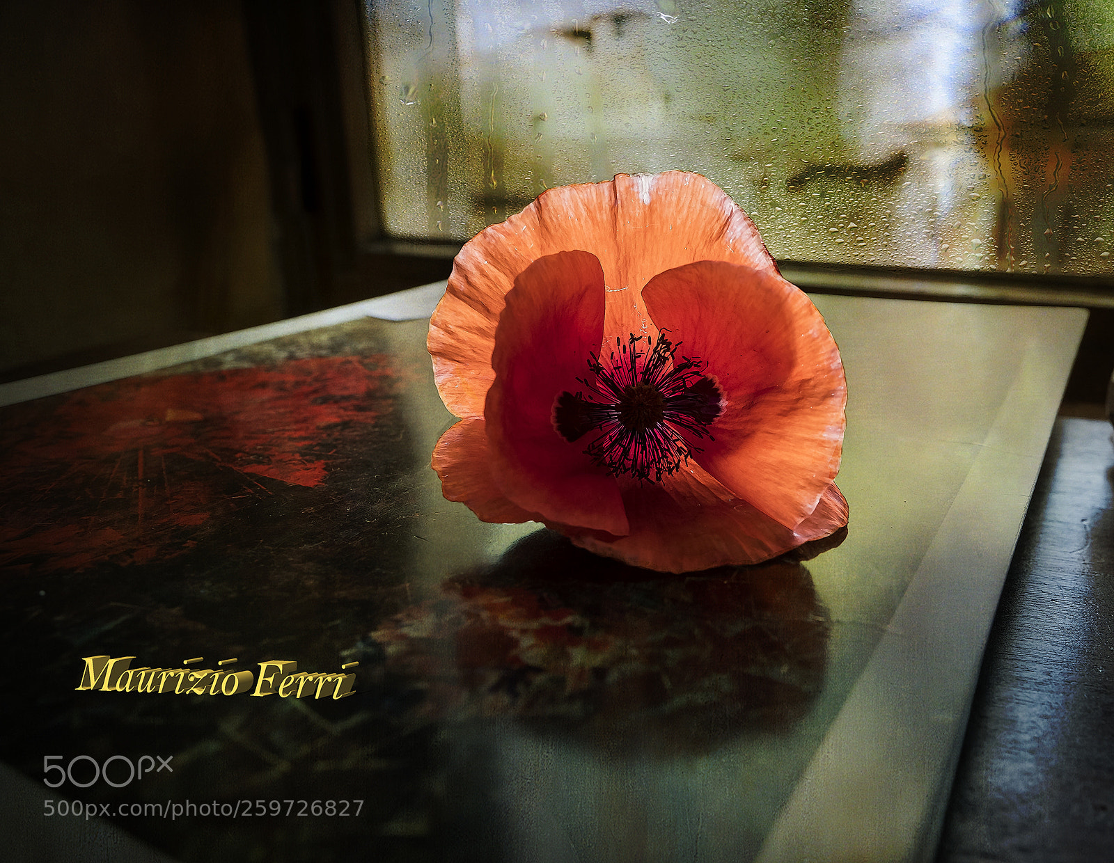 Fujifilm X-T2 sample photo. La furia del rosso... photography