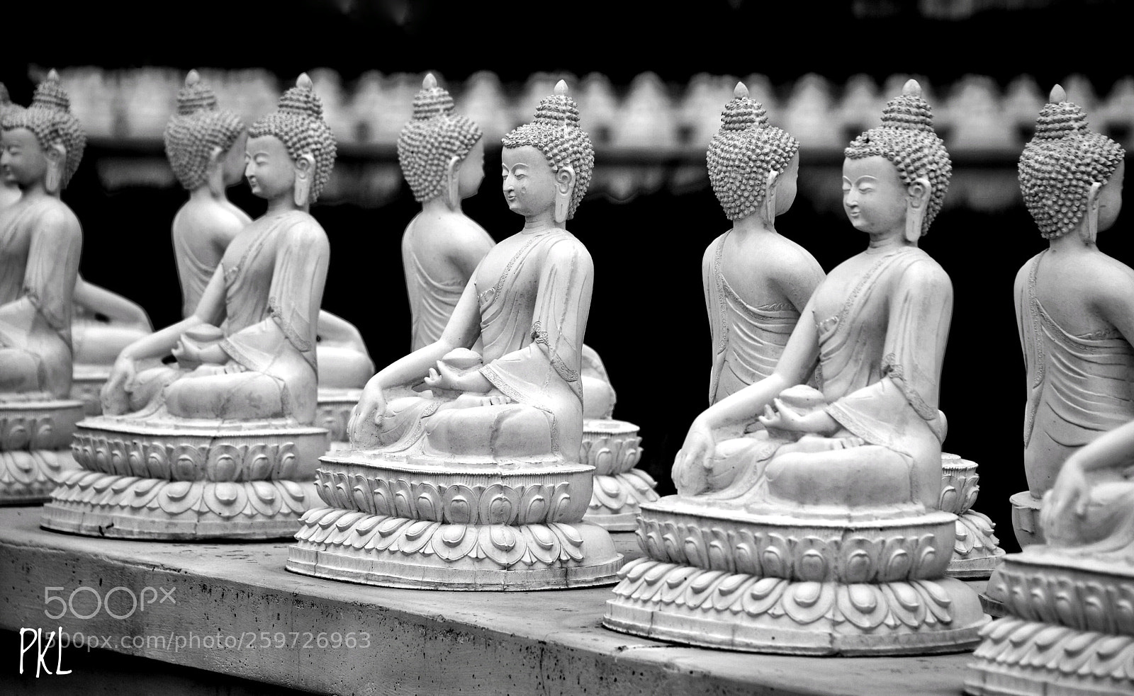 Nikon D810 sample photo. Compassion in symmetry photography