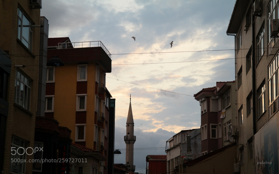 Samsung NX300 sample photo. ... photography