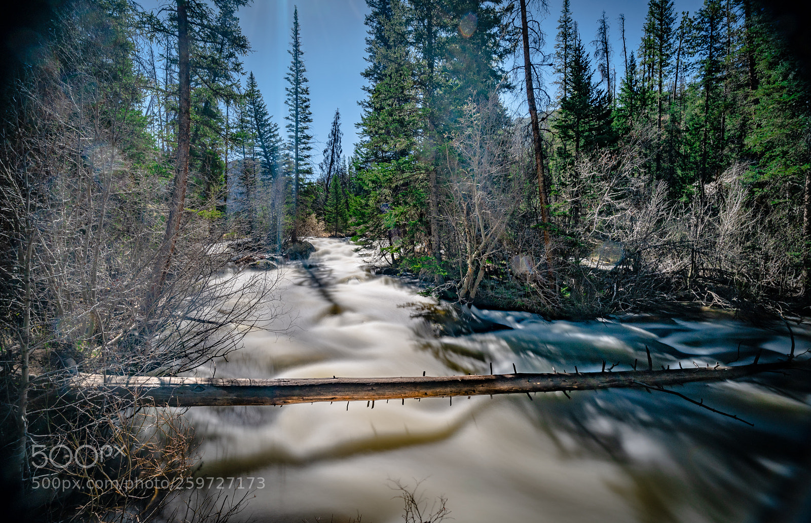 Sony a7R II sample photo. Tree over stream two photography