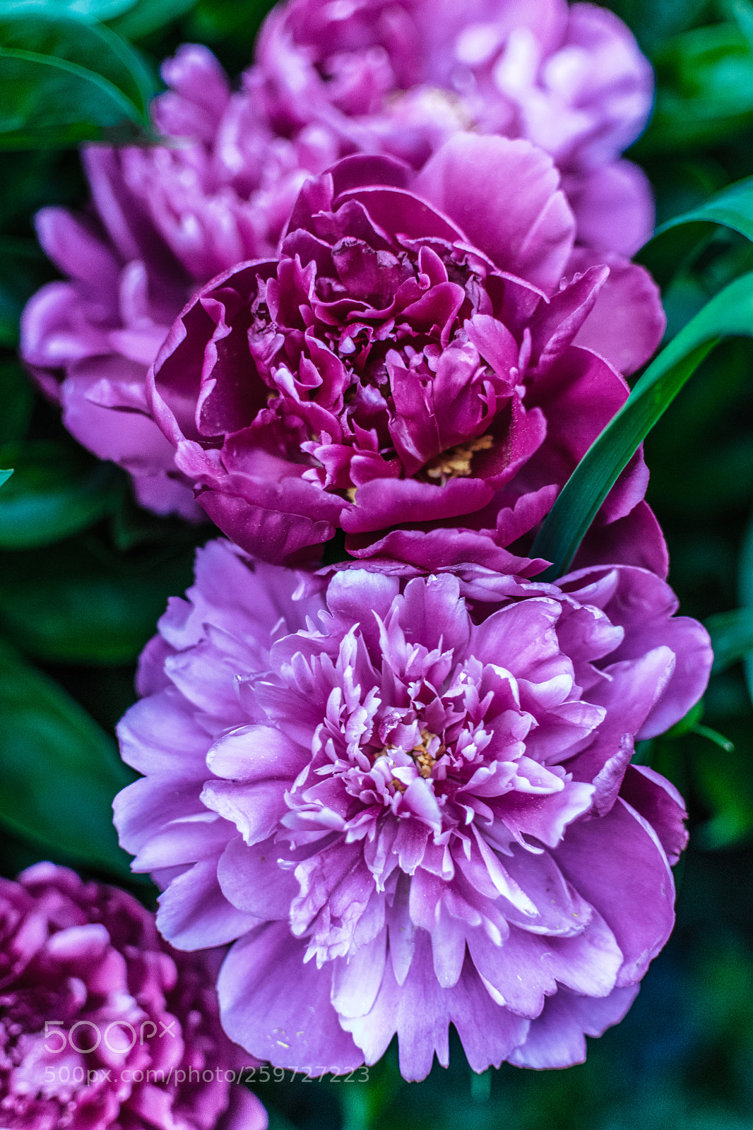 Nikon D3400 sample photo. Untitled photography