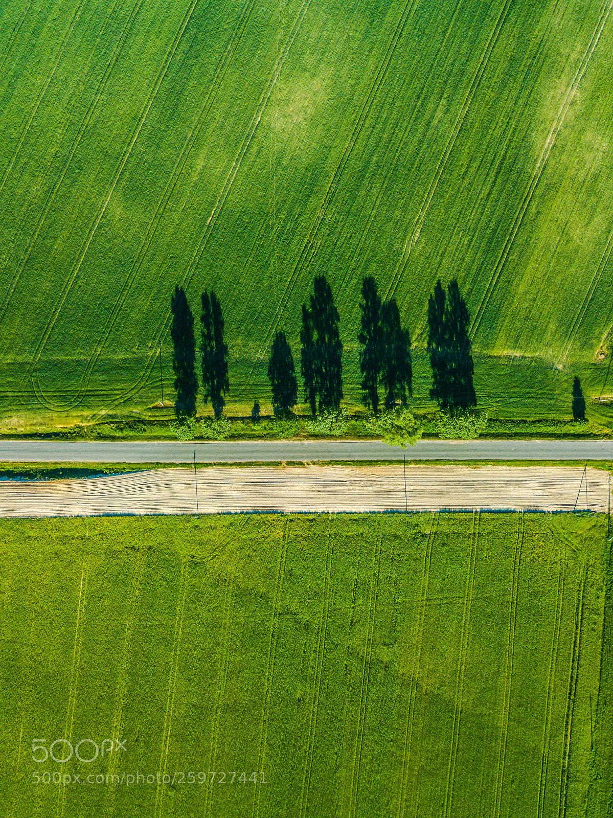 DJI FC220 sample photo. Trees behind the forest photography