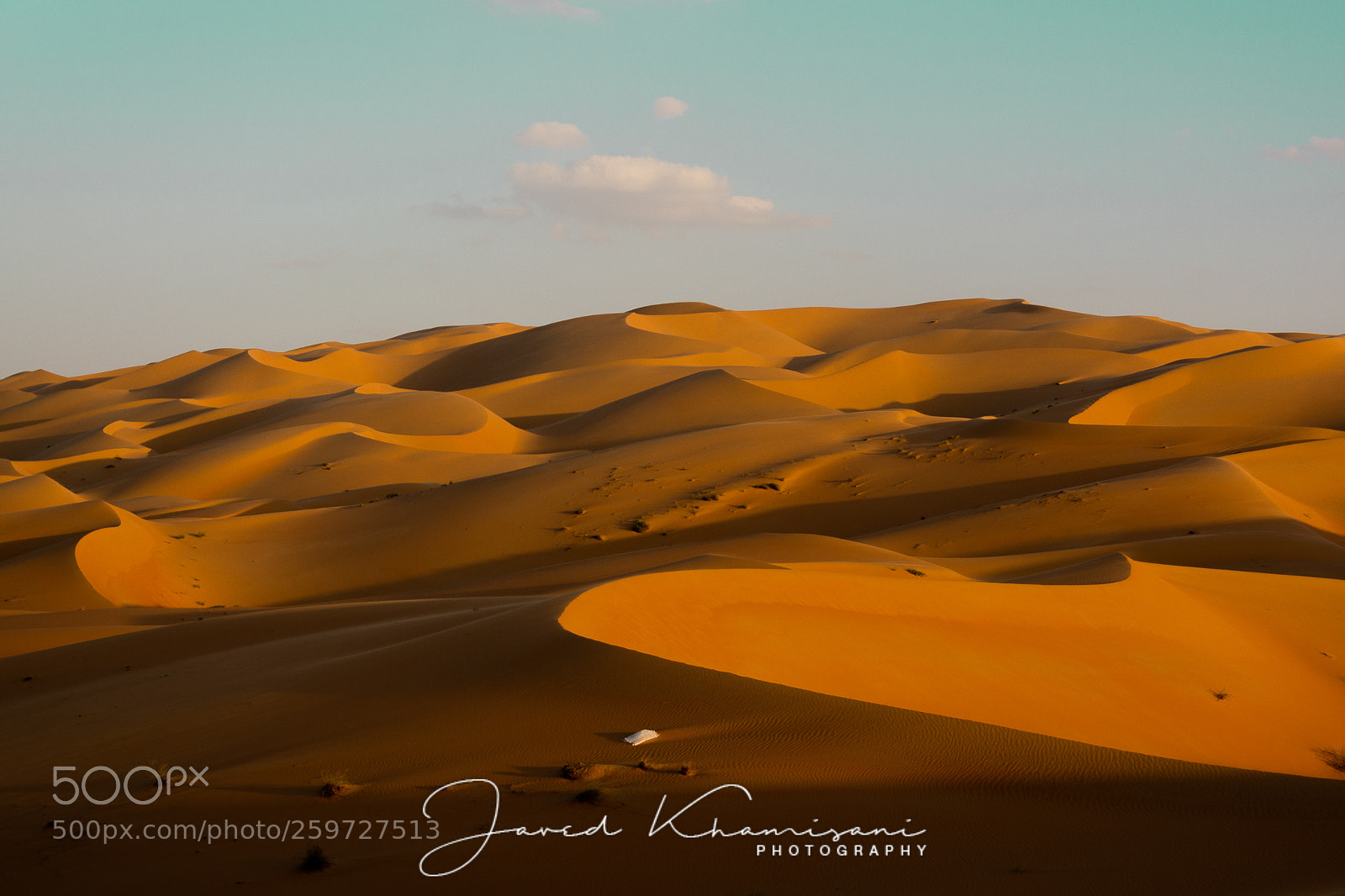 Nikon D7100 sample photo. Liwa dunes  photography
