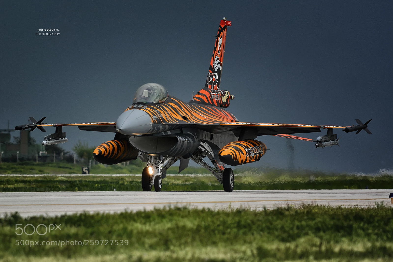 Nikon D7100 sample photo. Tiger f16 photography