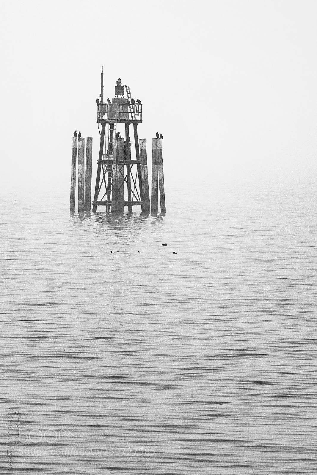 Canon EOS 5D Mark IV sample photo. Lindau dl photography