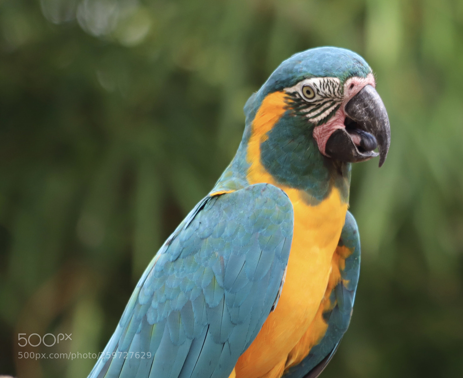 Canon EOS 6D Mark II sample photo. Untitled photography
