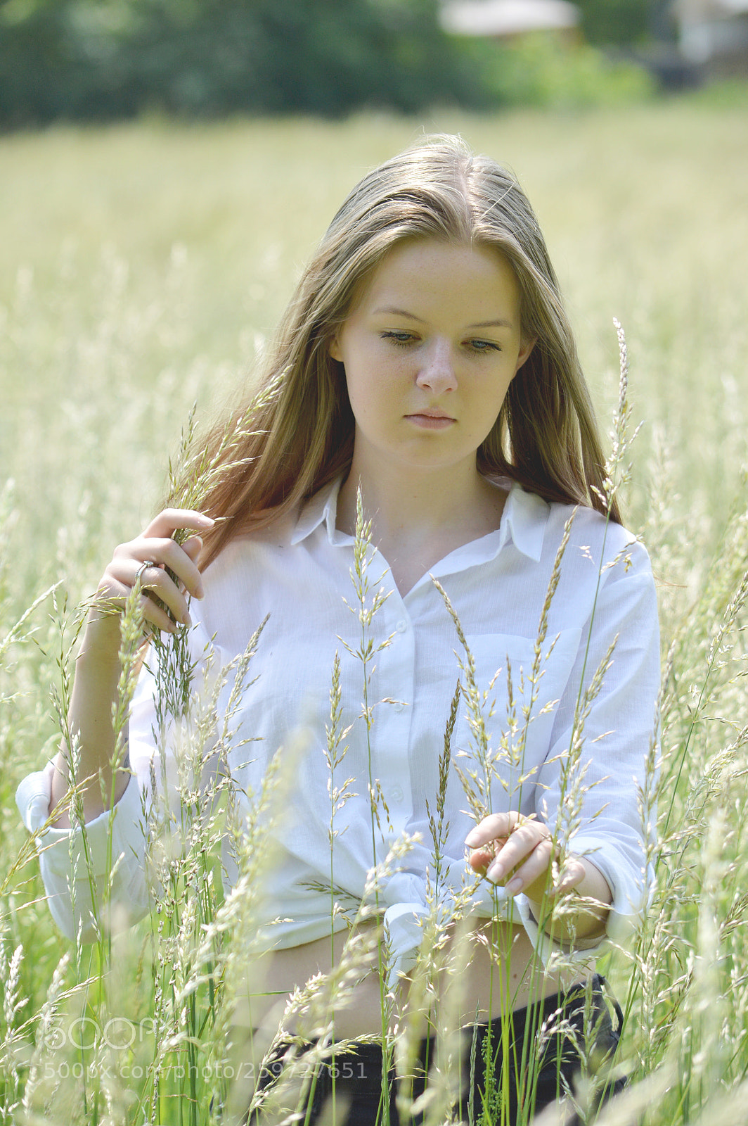 Nikon D3200 sample photo. Charlotte photography