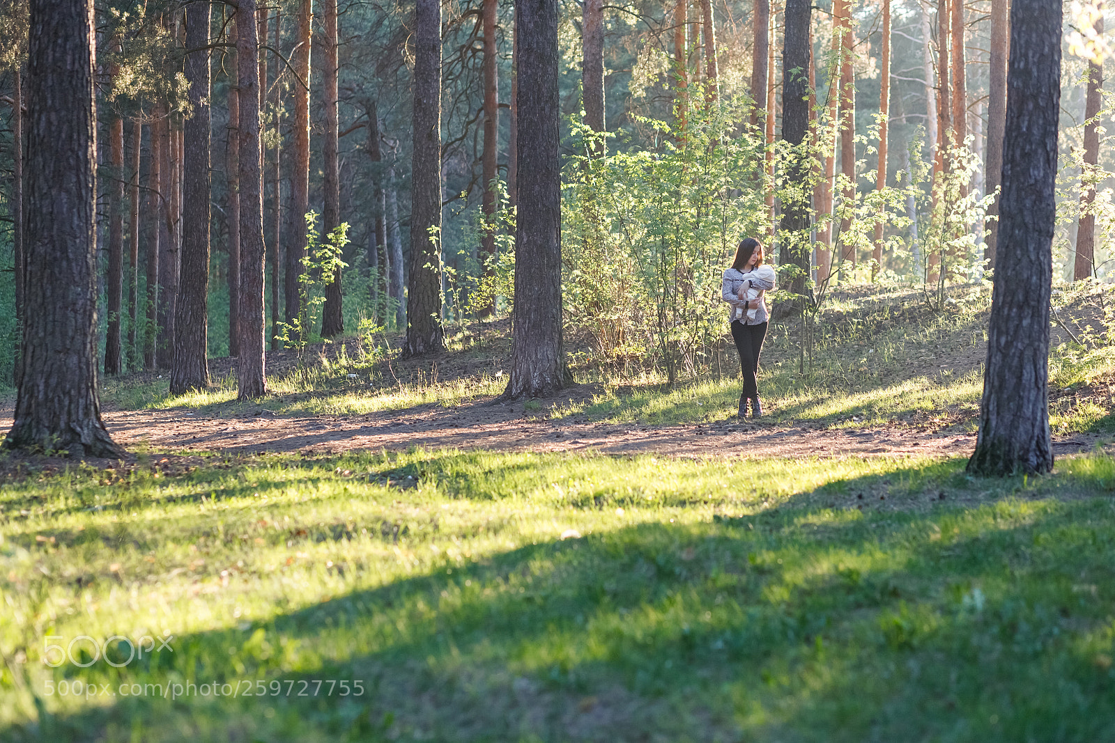 Canon EOS 5D sample photo. Untitled photography