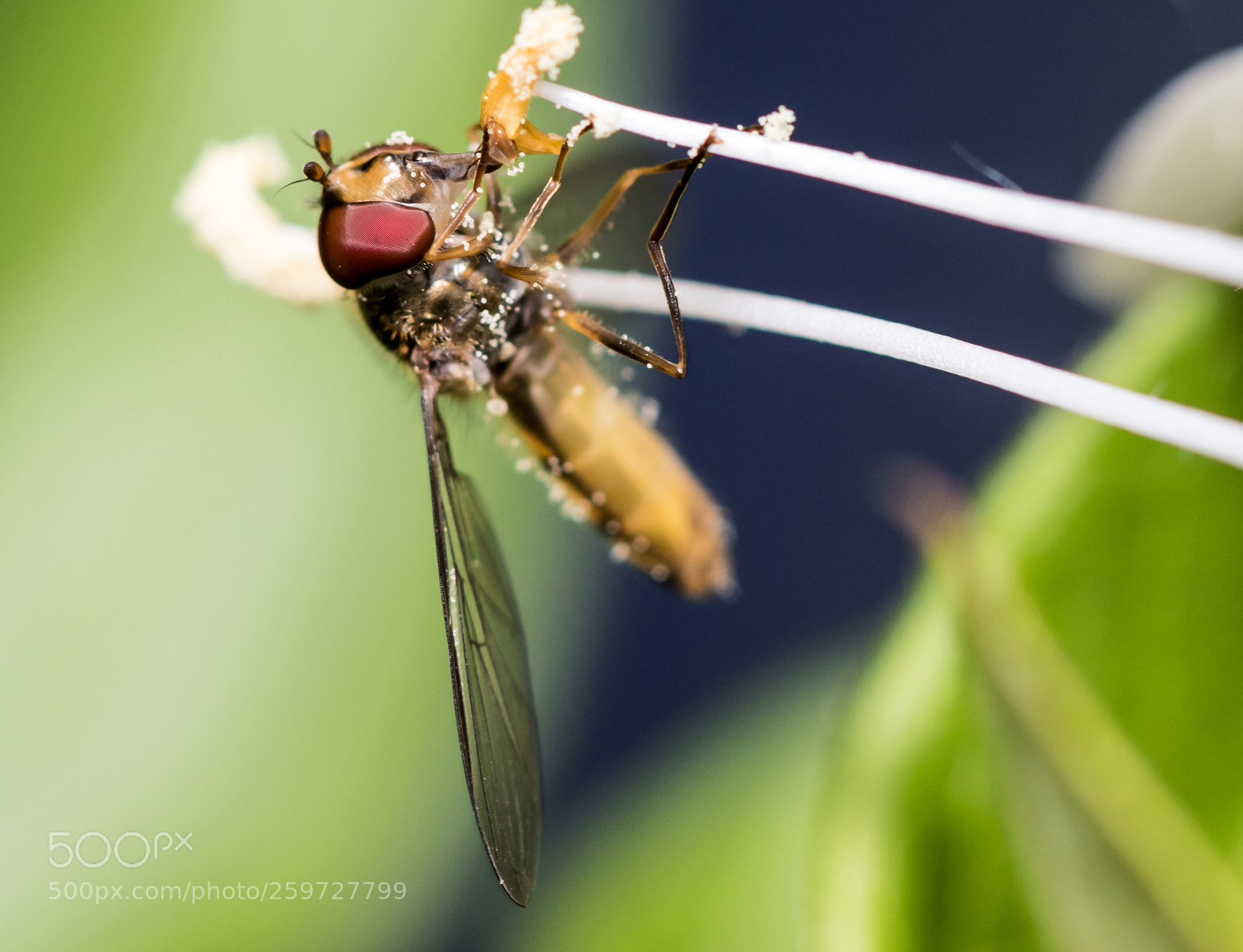 Canon EOS 7D Mark II sample photo. Hard working photography