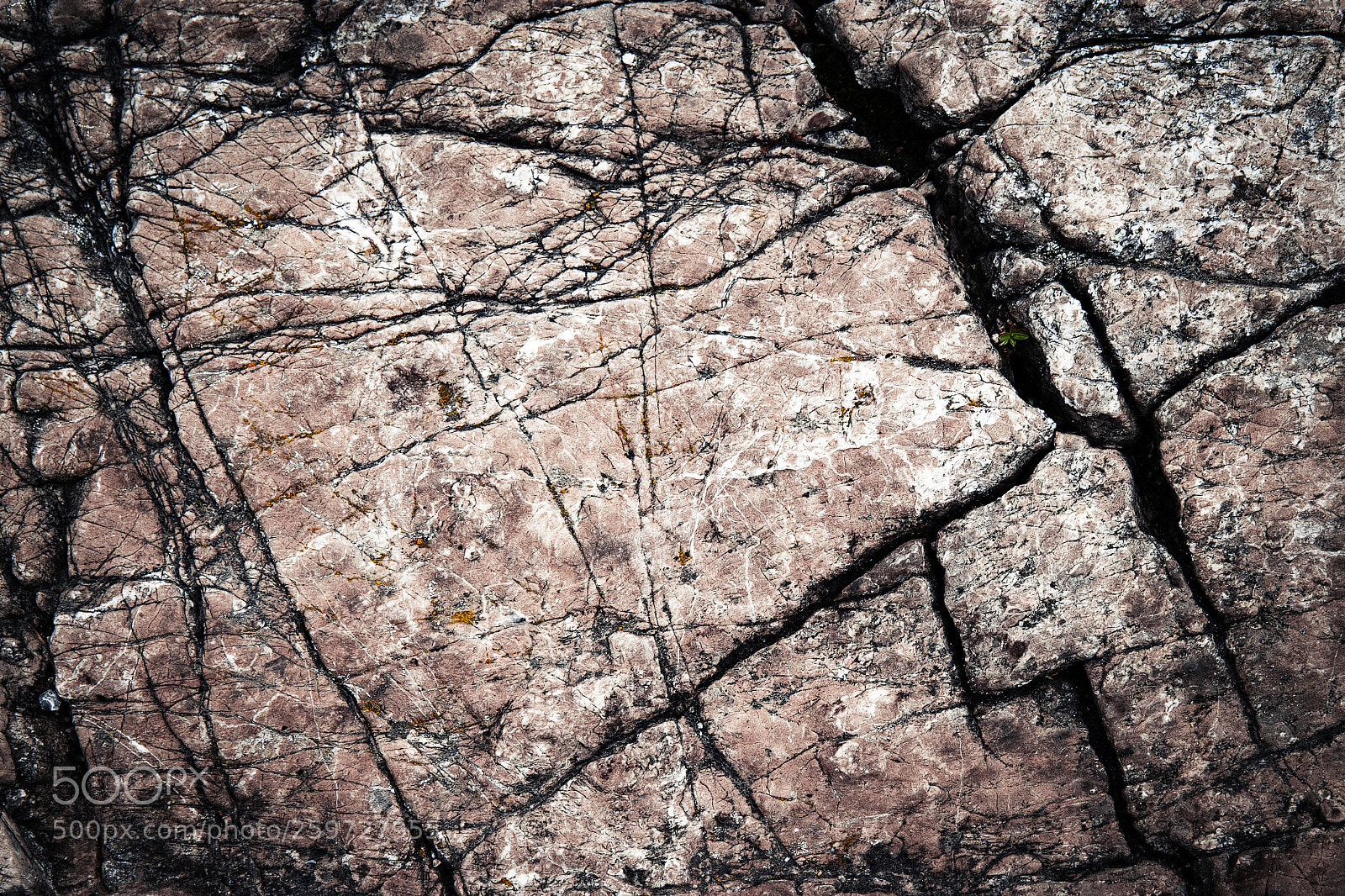 Nikon D5500 sample photo. Pink stone surface with photography
