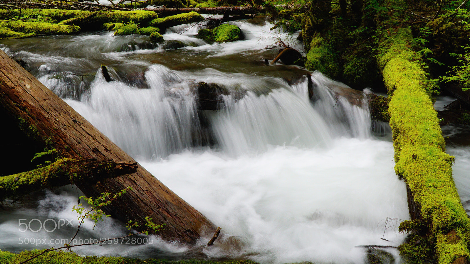 Sony a6000 sample photo. Oregon creek photography