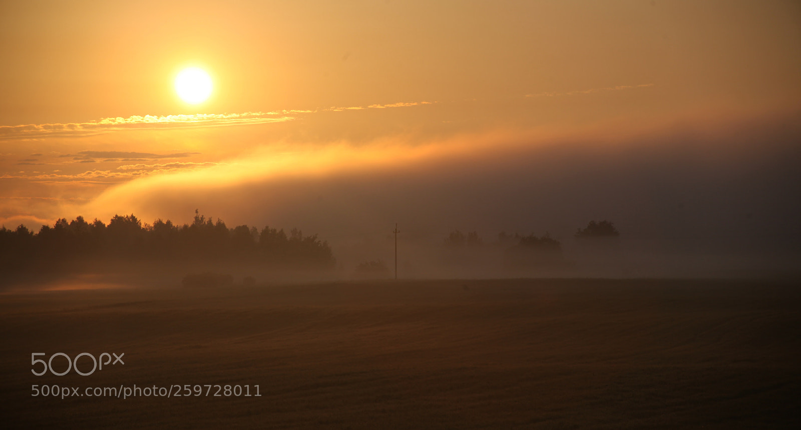 Canon EOS 5D Mark II sample photo. Sunrice and fogg sobolewo photography
