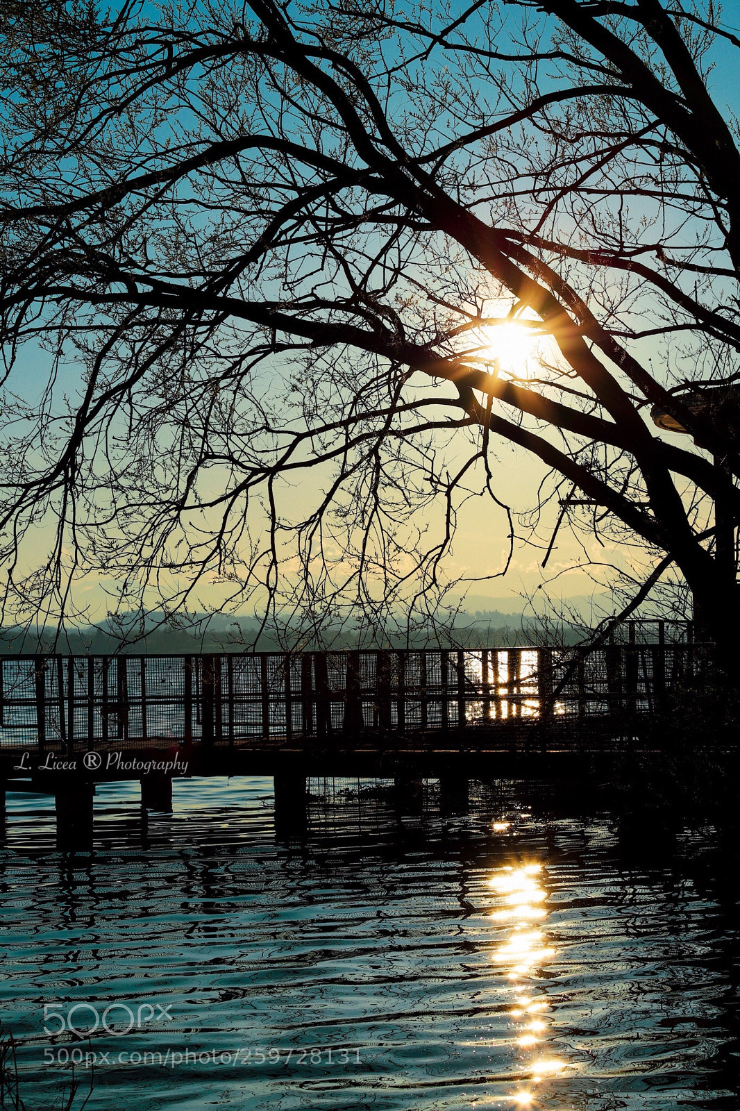 Canon EOS 6D Mark II sample photo. At horizon 120 photography