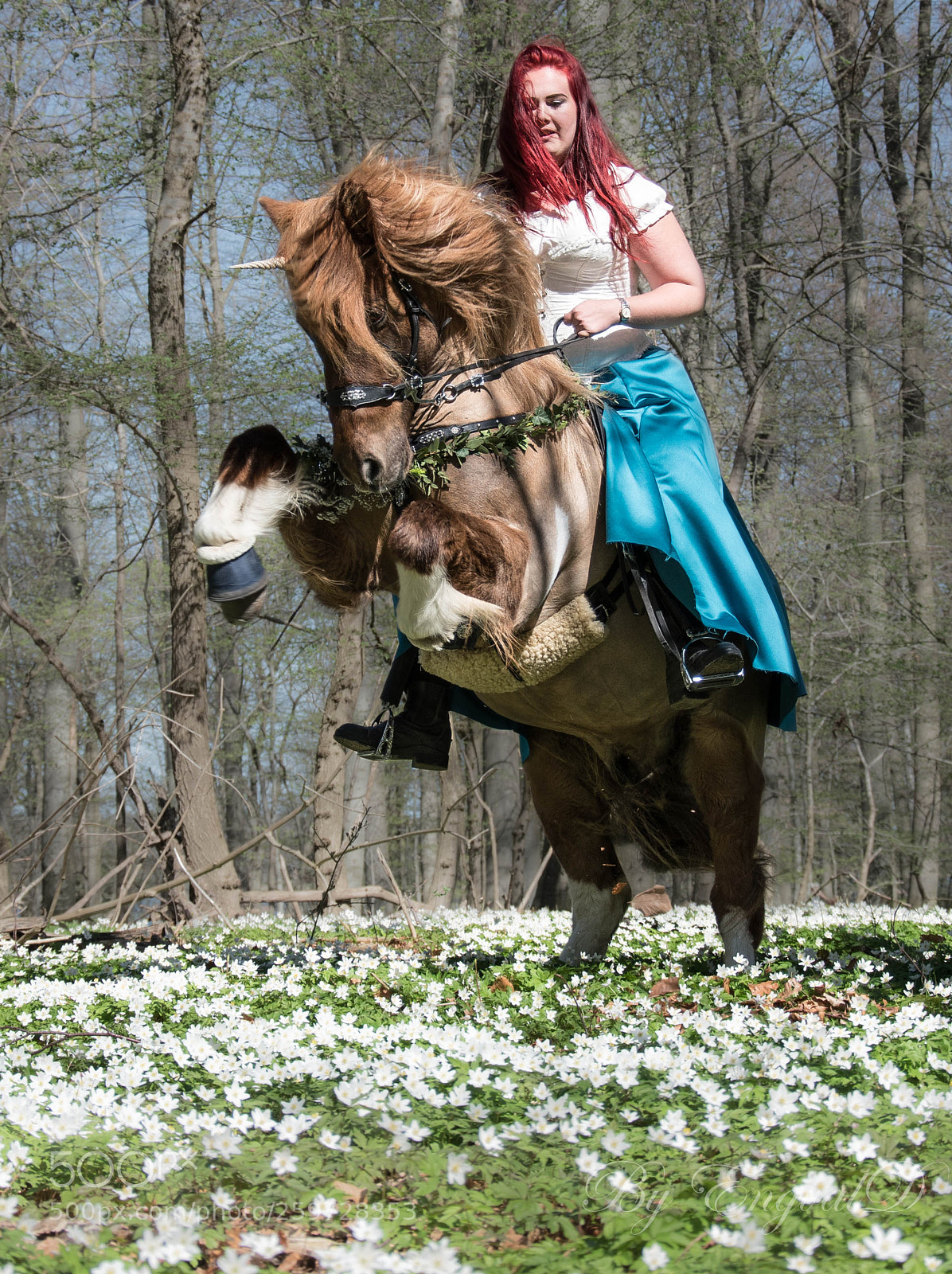 Nikon D5500 sample photo. Fengur being wild photography