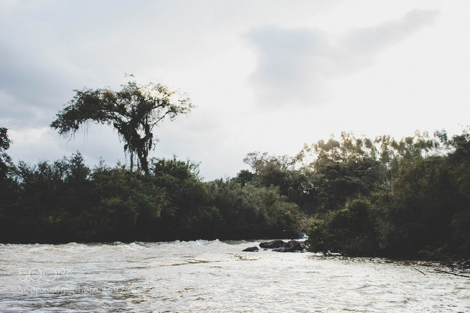 Canon EOS 700D (EOS Rebel T5i / EOS Kiss X7i) sample photo. River bank photography