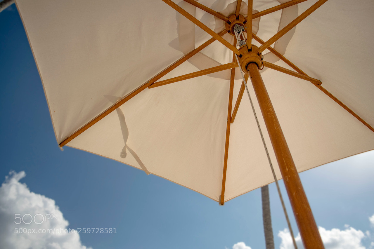 Nikon D3300 sample photo. Umbrella photography
