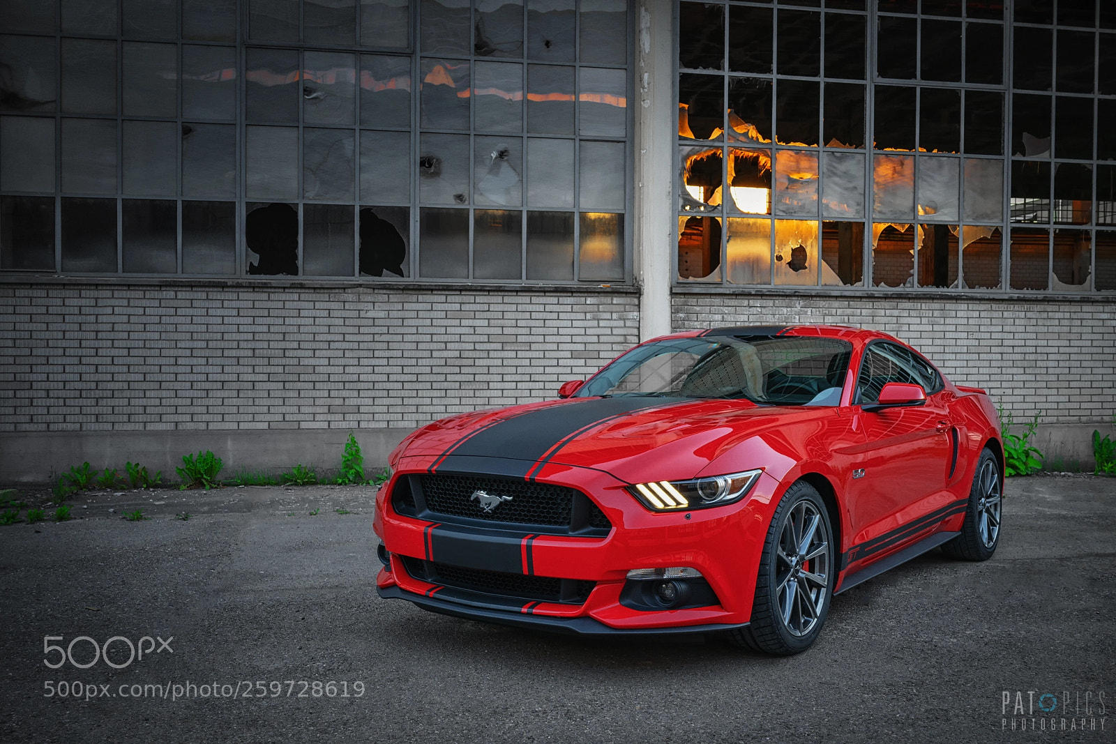 Sony a7R III sample photo. Mustang photography