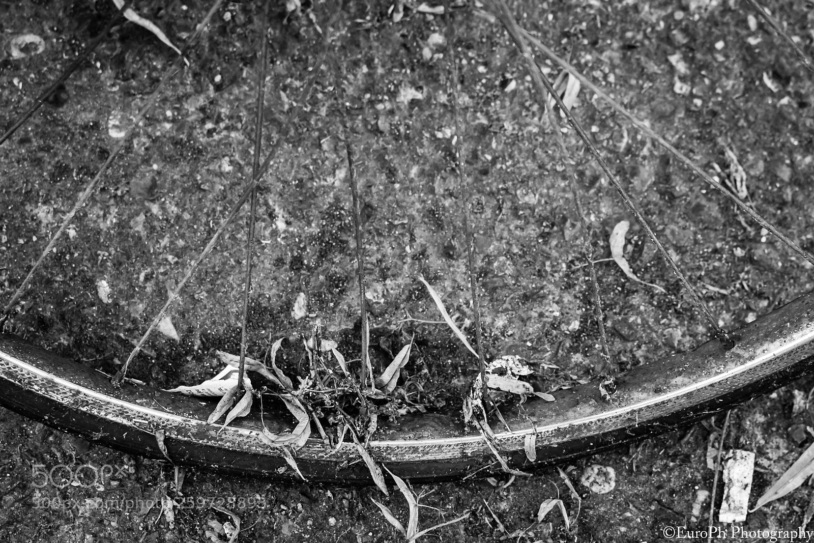 Nikon D7100 sample photo. Abandoned photography