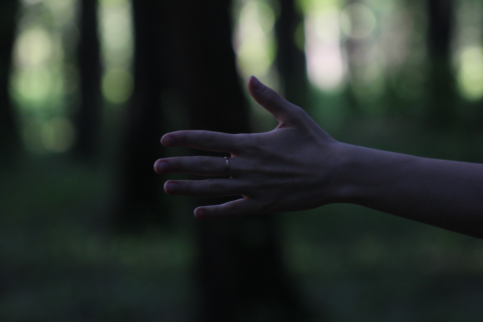 Canon EF 75-300mm f/4-5.6 sample photo. My hand photography