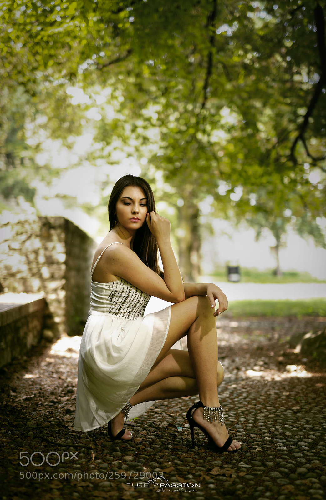 Canon EOS 6D Mark II sample photo. Untitled photography