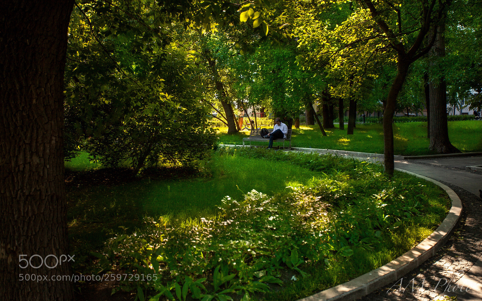 Canon EOS 5D Mark II sample photo. Untitled photography