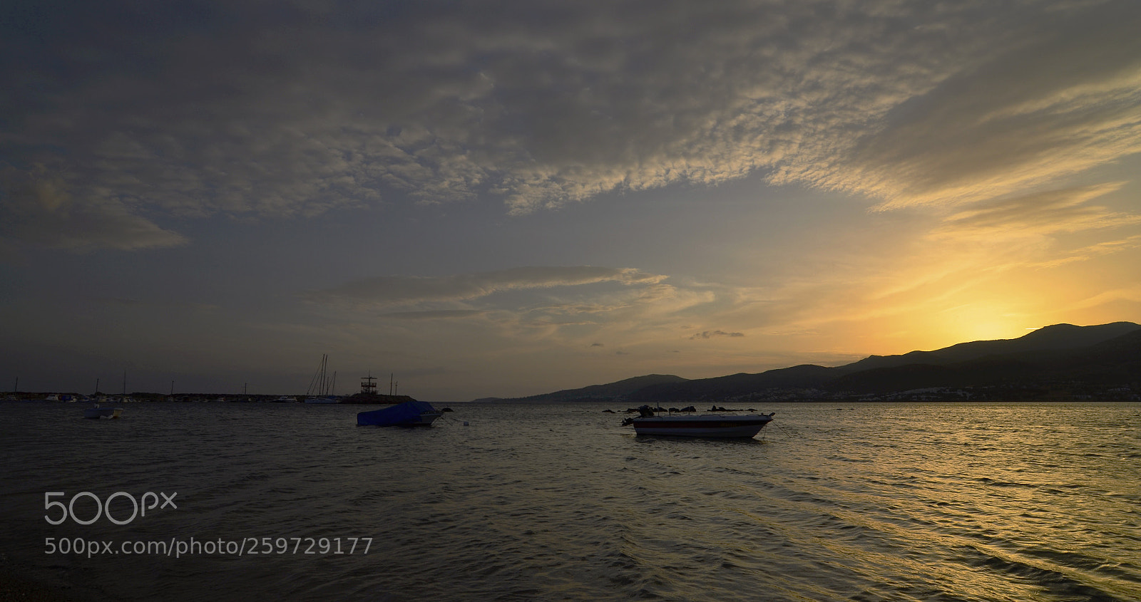Nikon D5100 sample photo. ... photography
