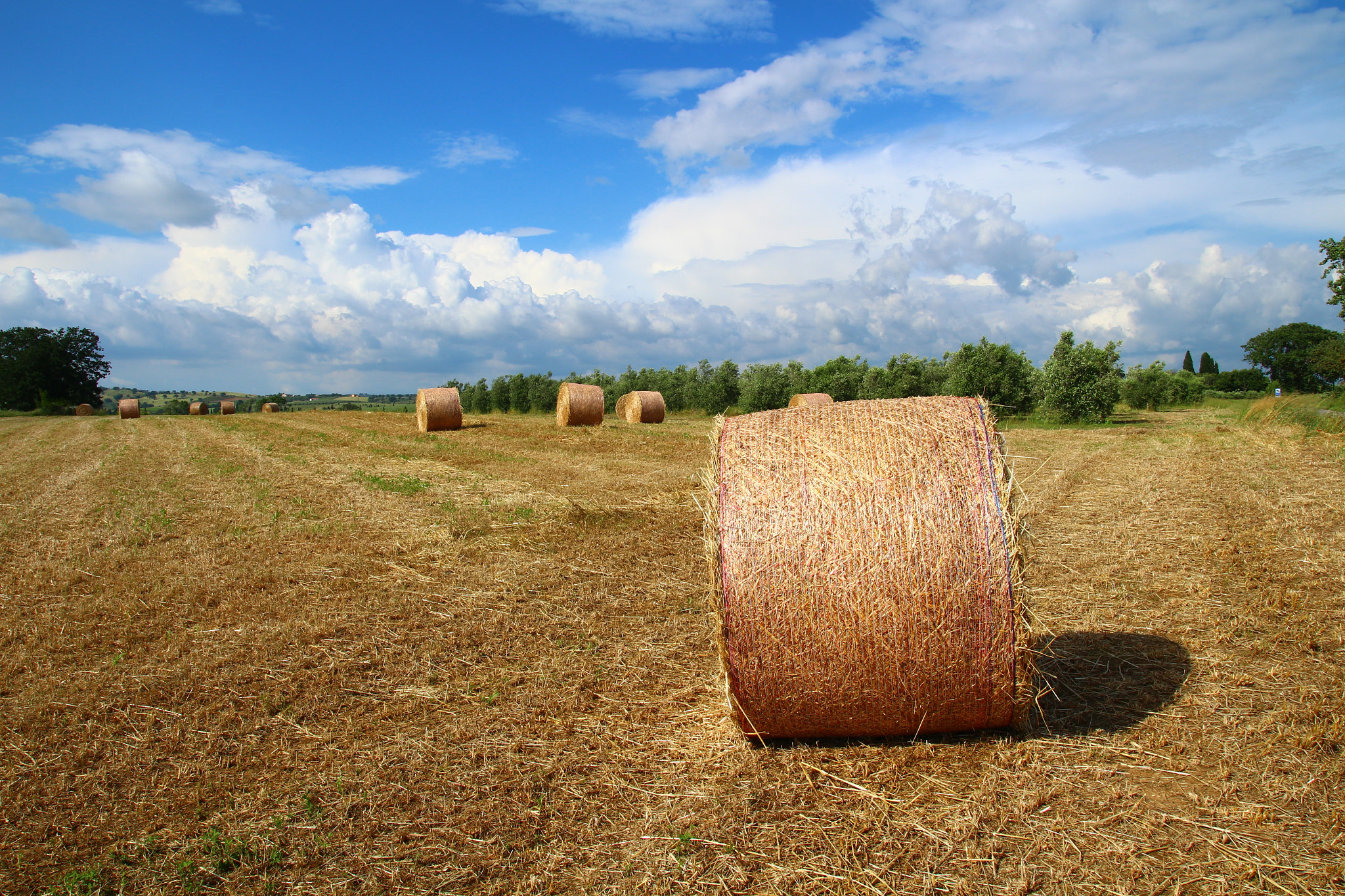 Tamron SP AF 17-50mm F2.8 XR Di II LD Aspherical (IF) sample photo. Maremma countryside photography