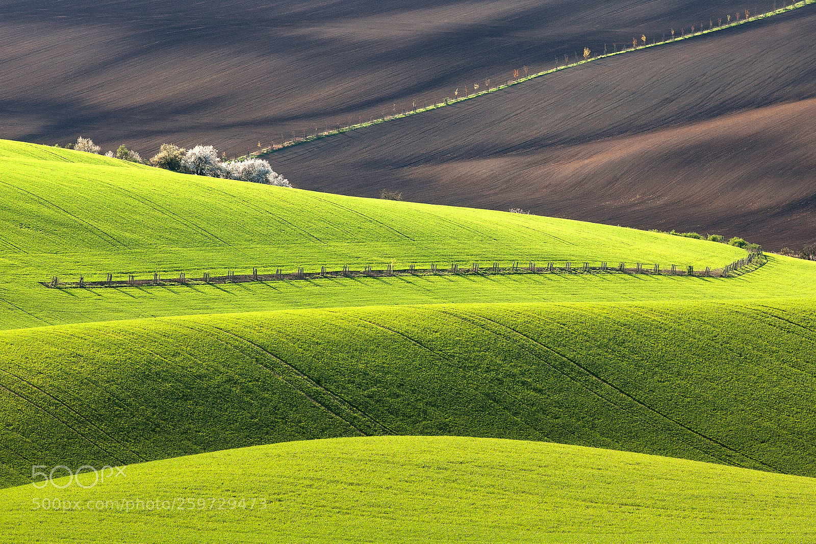 Canon EOS 5D Mark II sample photo. Moravian tuscany photography