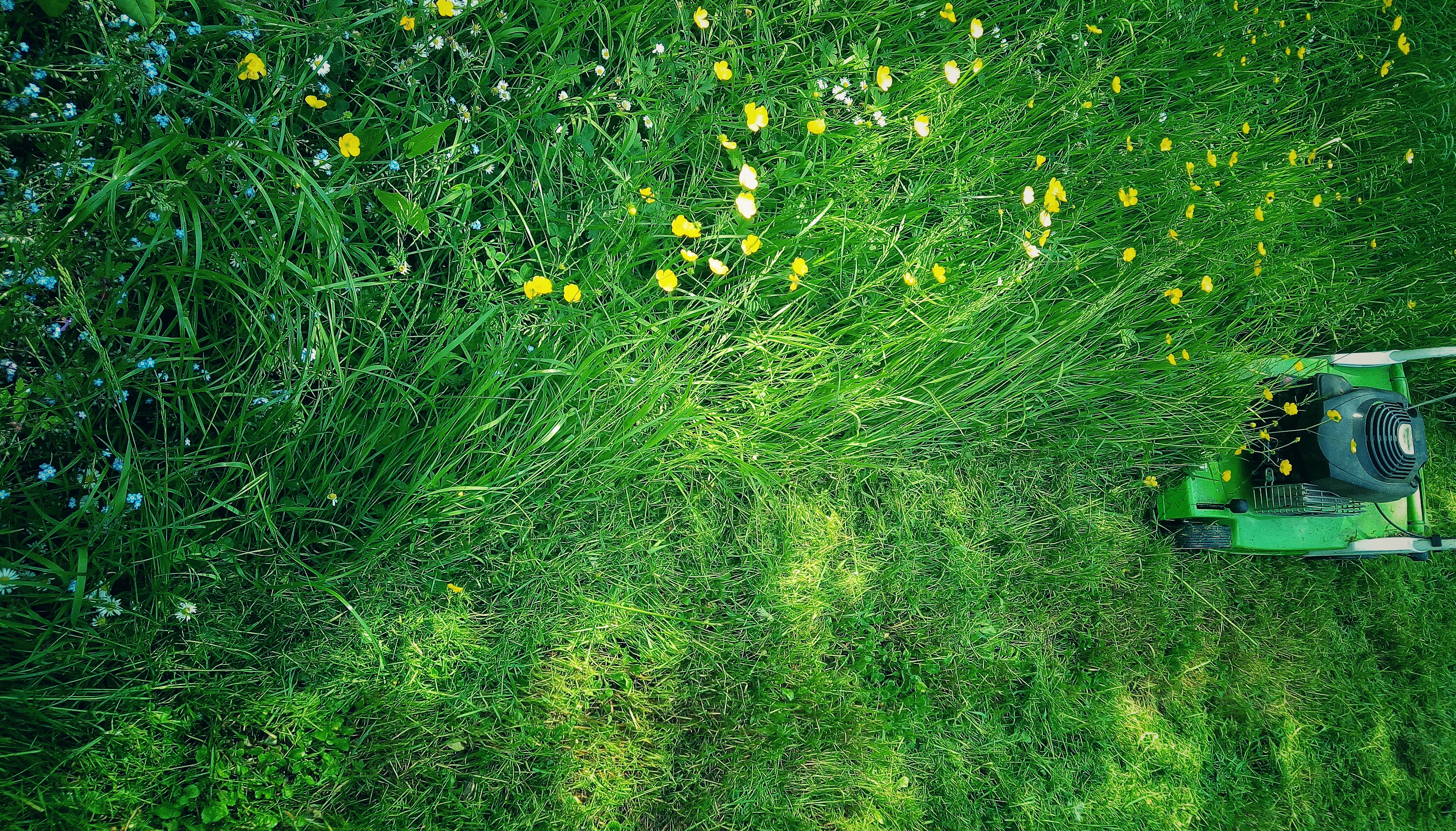 ASUS ZenFone 3 Max (ZC520TL) sample photo. Happy mower's day photography