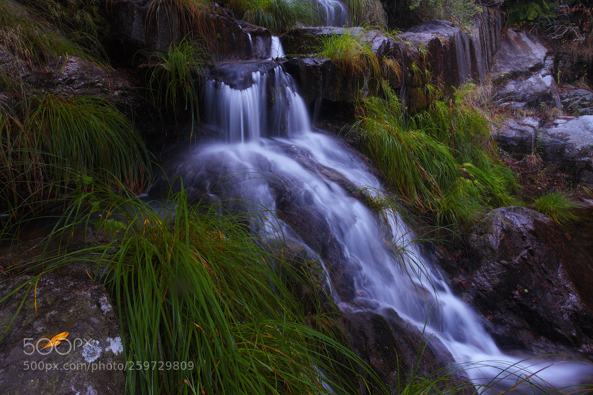 Canon EOS 5D Mark II sample photo. " spring water " photography