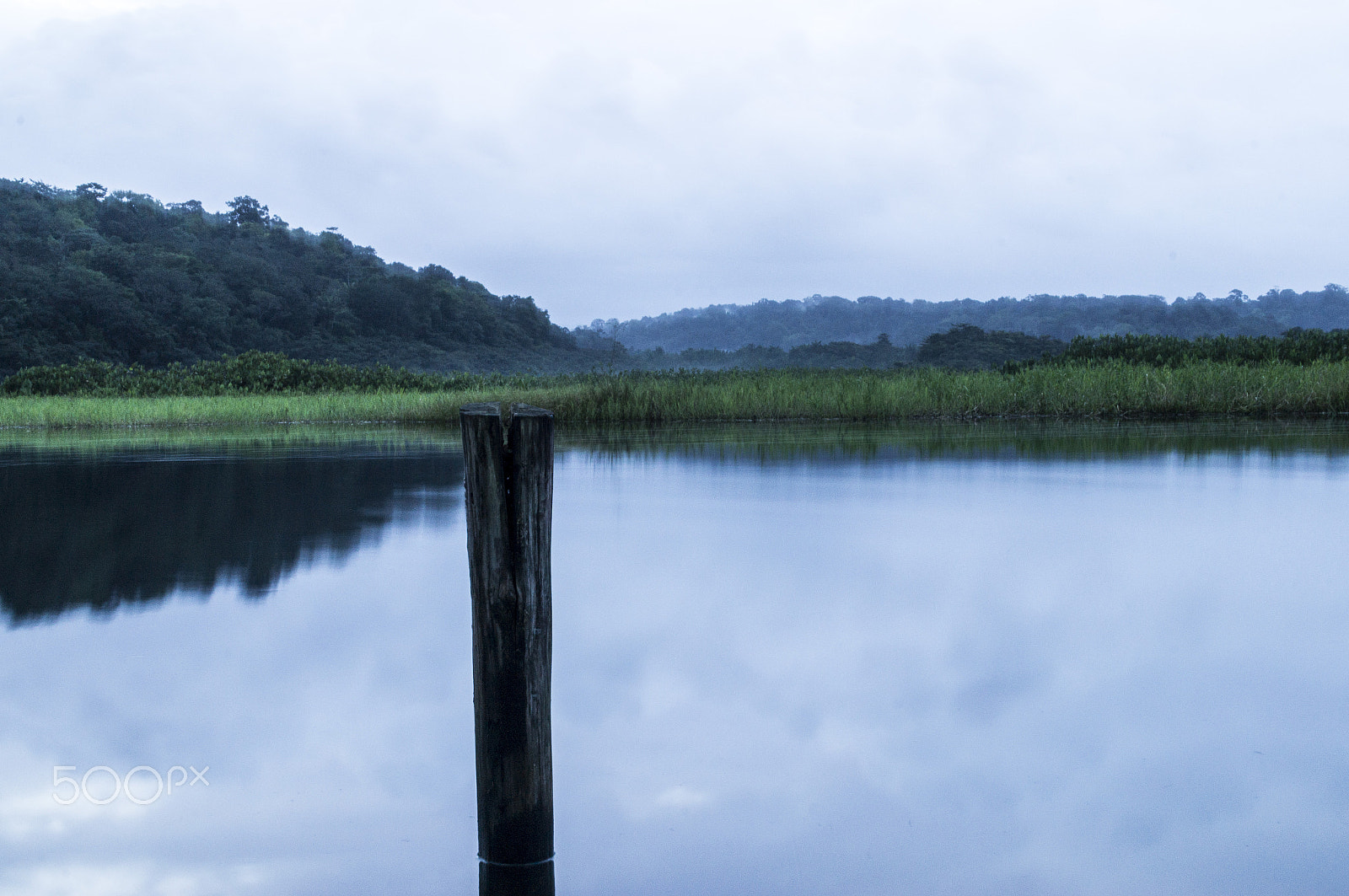 Sony Alpha NEX-C3 sample photo. Marais de kaw photography