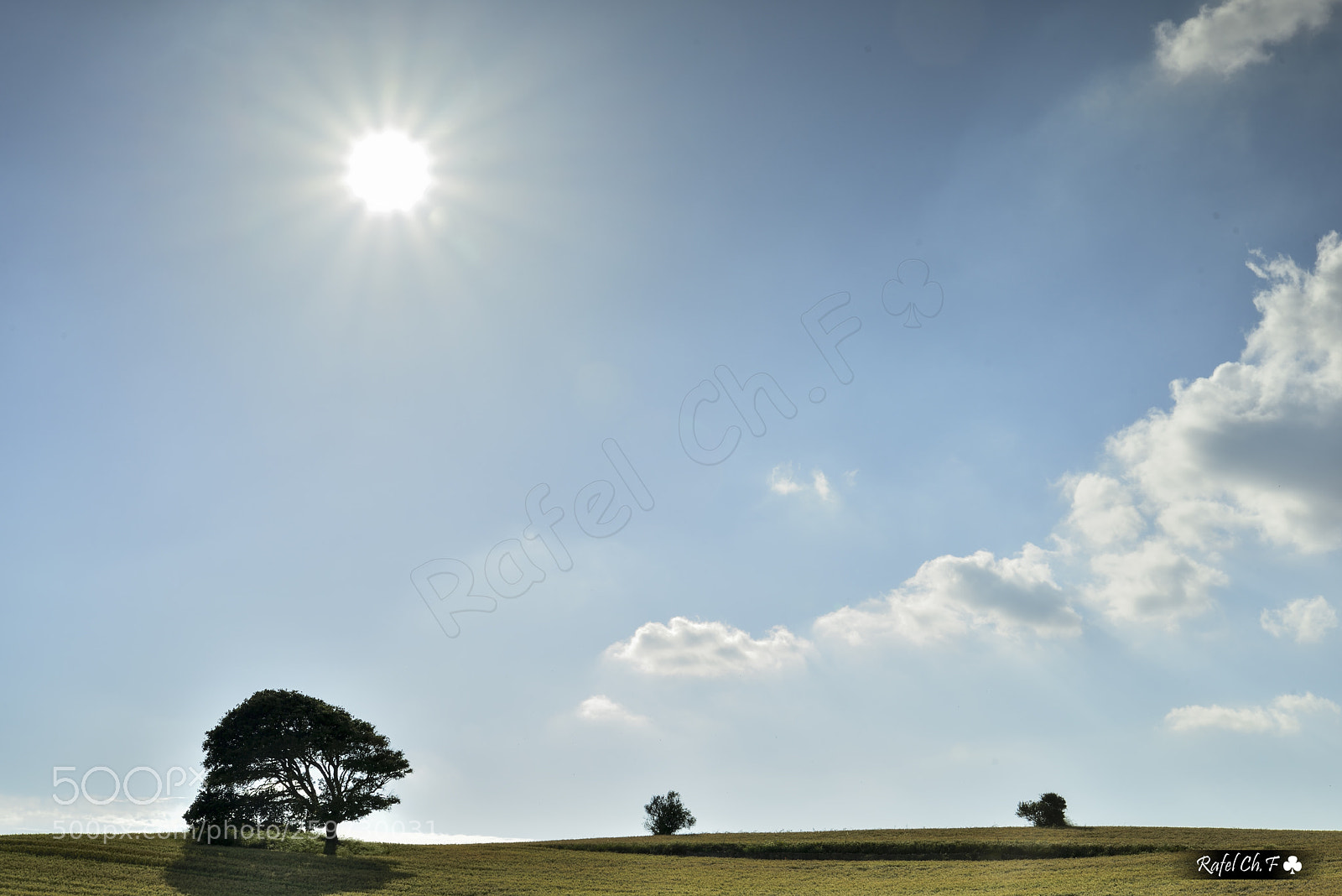 Nikon D750 sample photo. On the edge photography