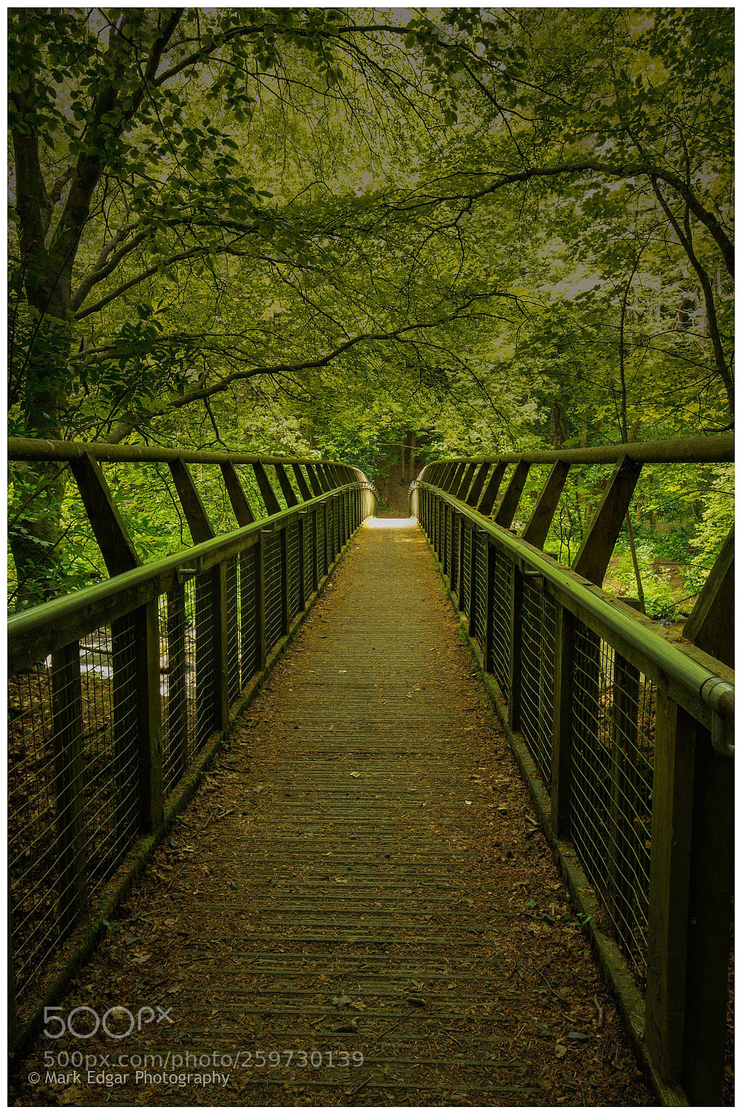 Nikon D7100 sample photo. Clare glen, tandragee, northern photography