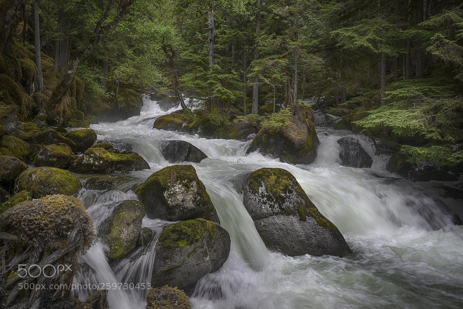 Nikon D610 sample photo. Mountain stream photography