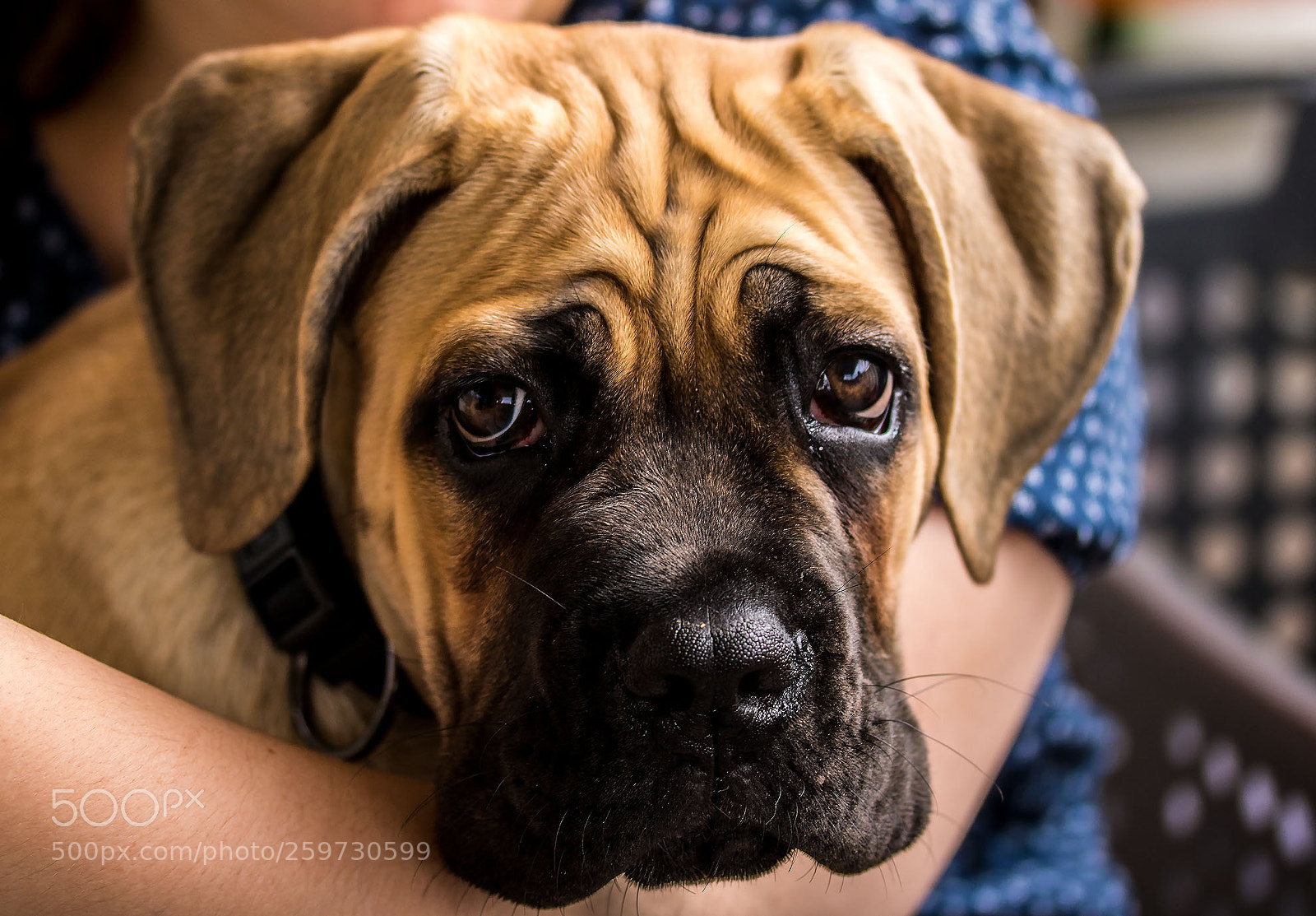 Canon EOS 750D (EOS Rebel T6i / EOS Kiss X8i) sample photo. Odin photography