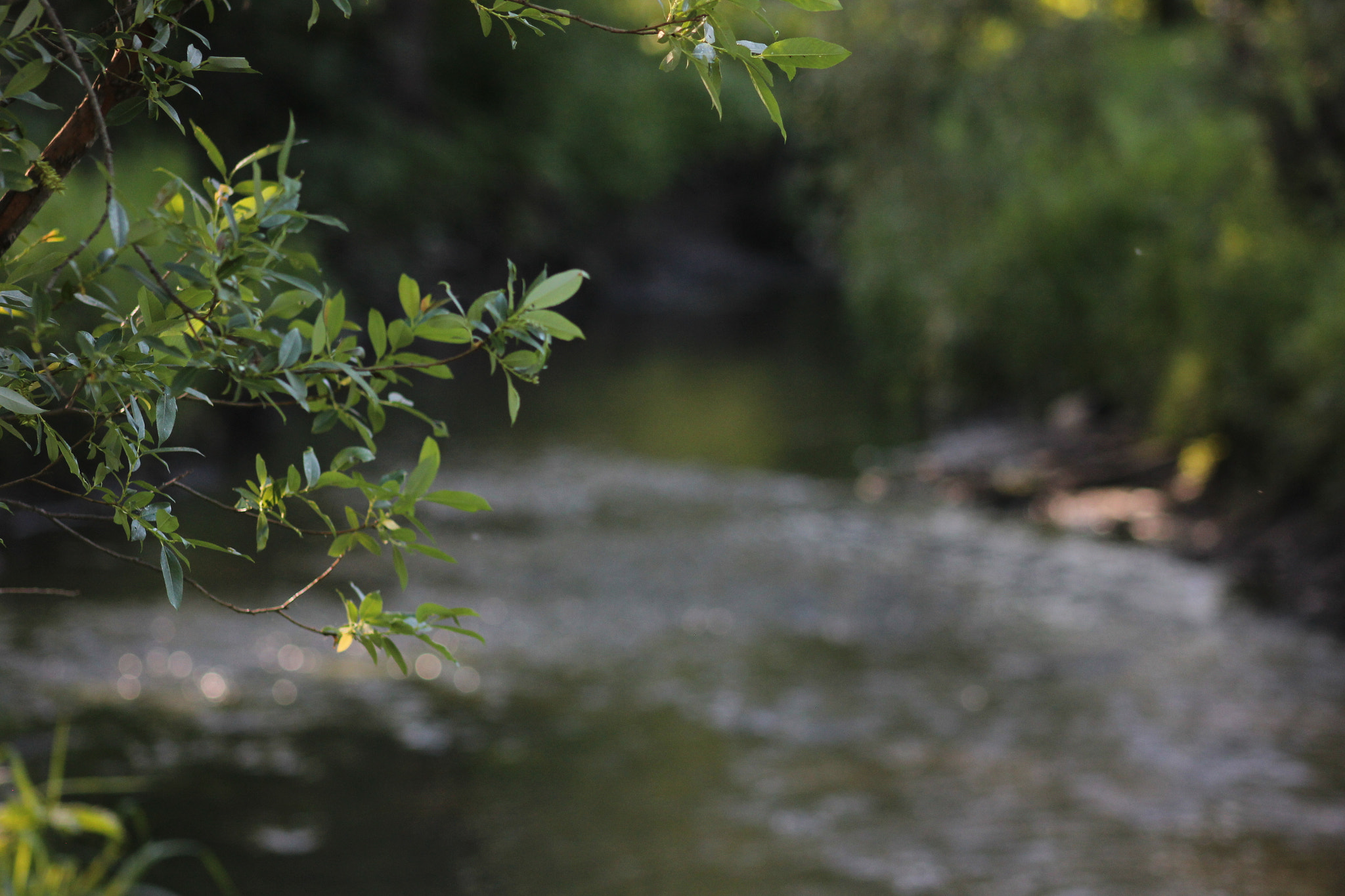 Canon EF 75-300mm f/4-5.6 sample photo. River photography