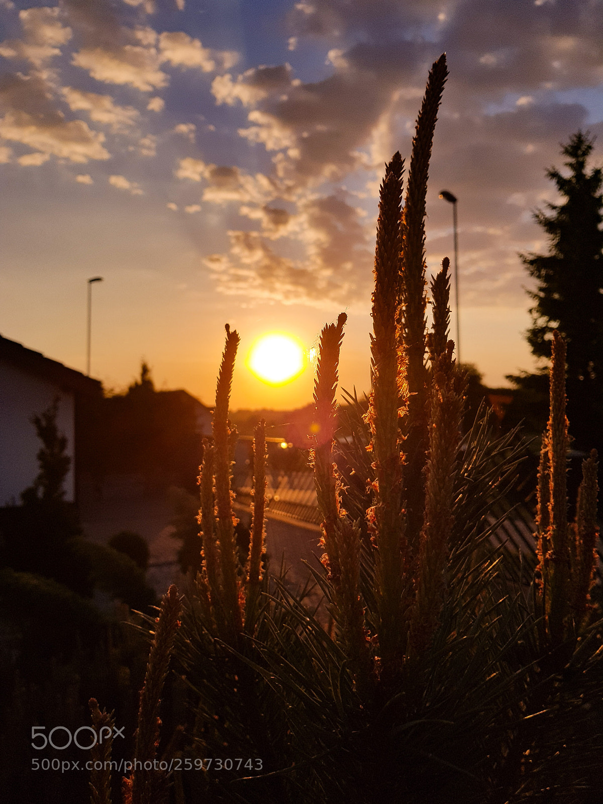 Samsung Galaxy S8 sample photo. Sundown photography