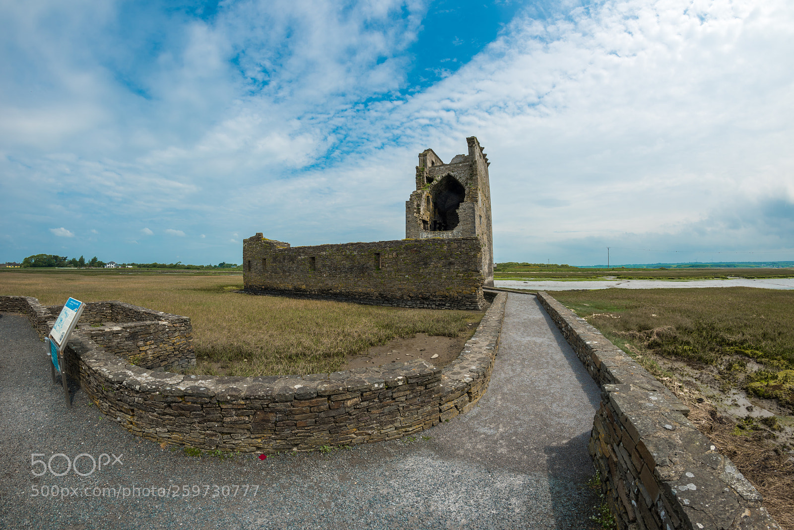 Nikon D810 sample photo. Ballylongford castle north kerry photography