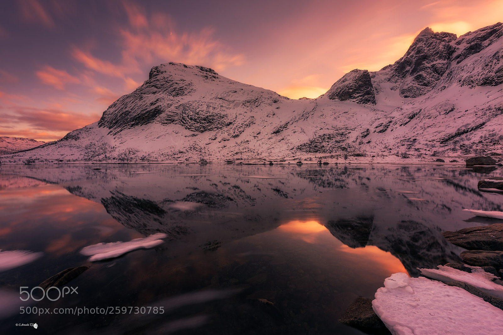 Nikon D810 sample photo. Un rincon de lofoten photography