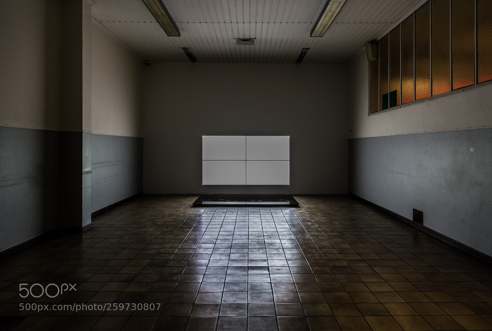 Nikon D750 sample photo. The reflecting screen photography