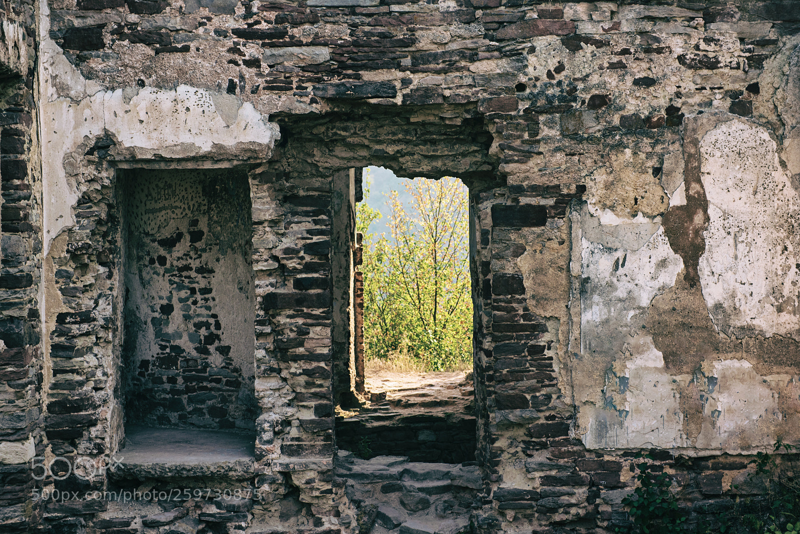 Nikon D750 sample photo. Old wall with breach photography