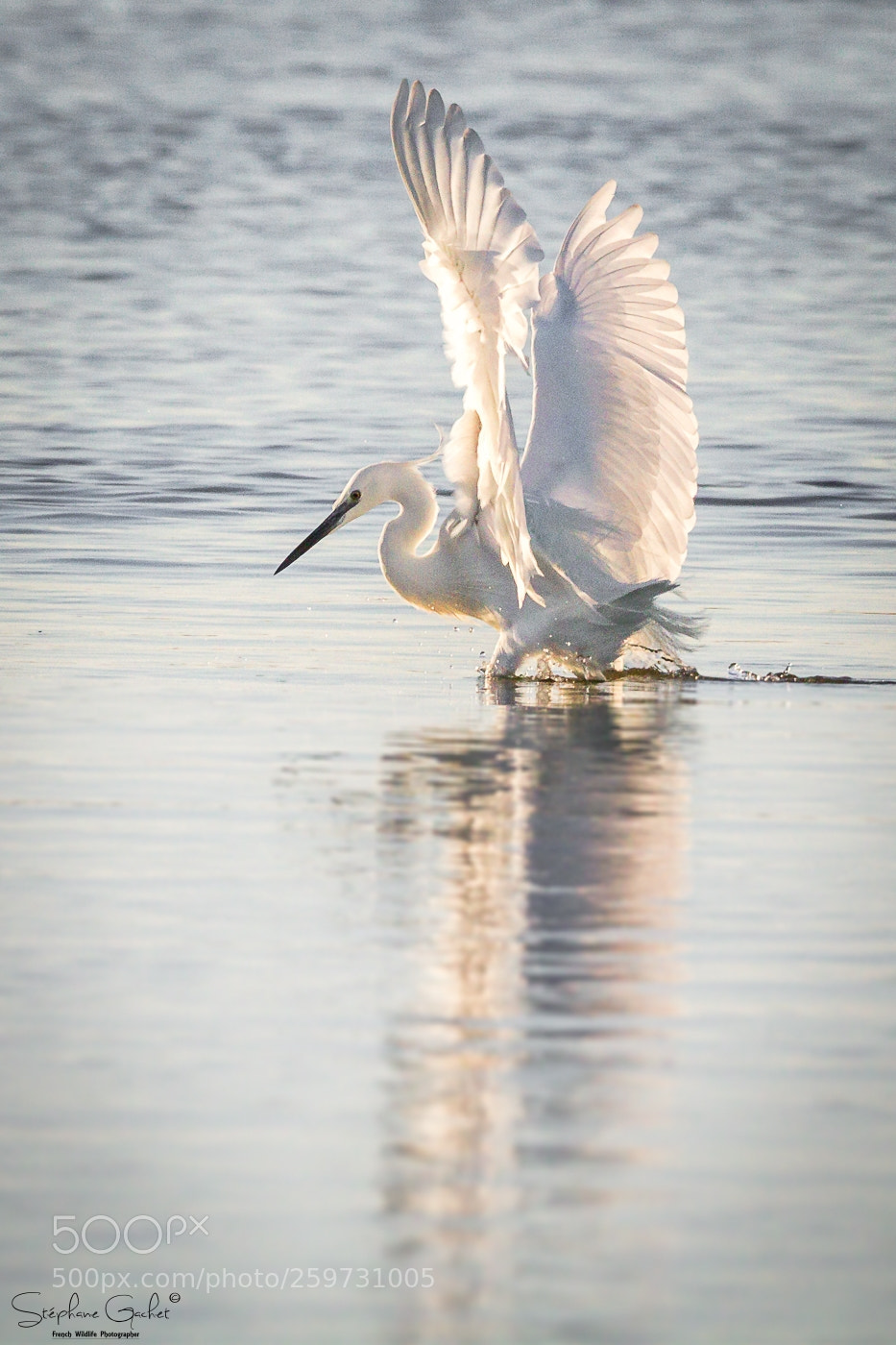 Canon EOS 7D sample photo. Posture de pêche photography