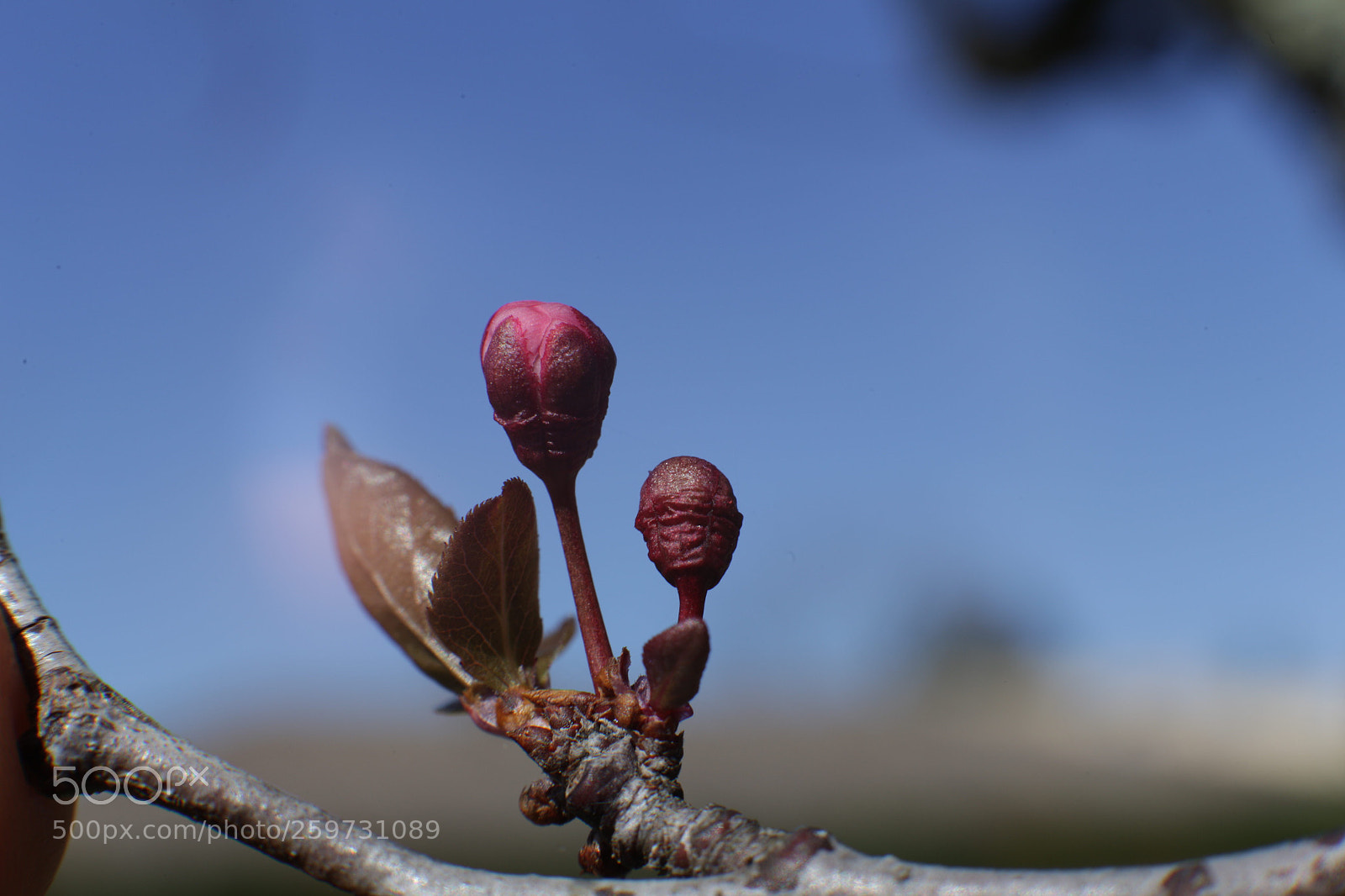 Canon EOS 6D sample photo. Adcd eddeeafbdacbfb photography