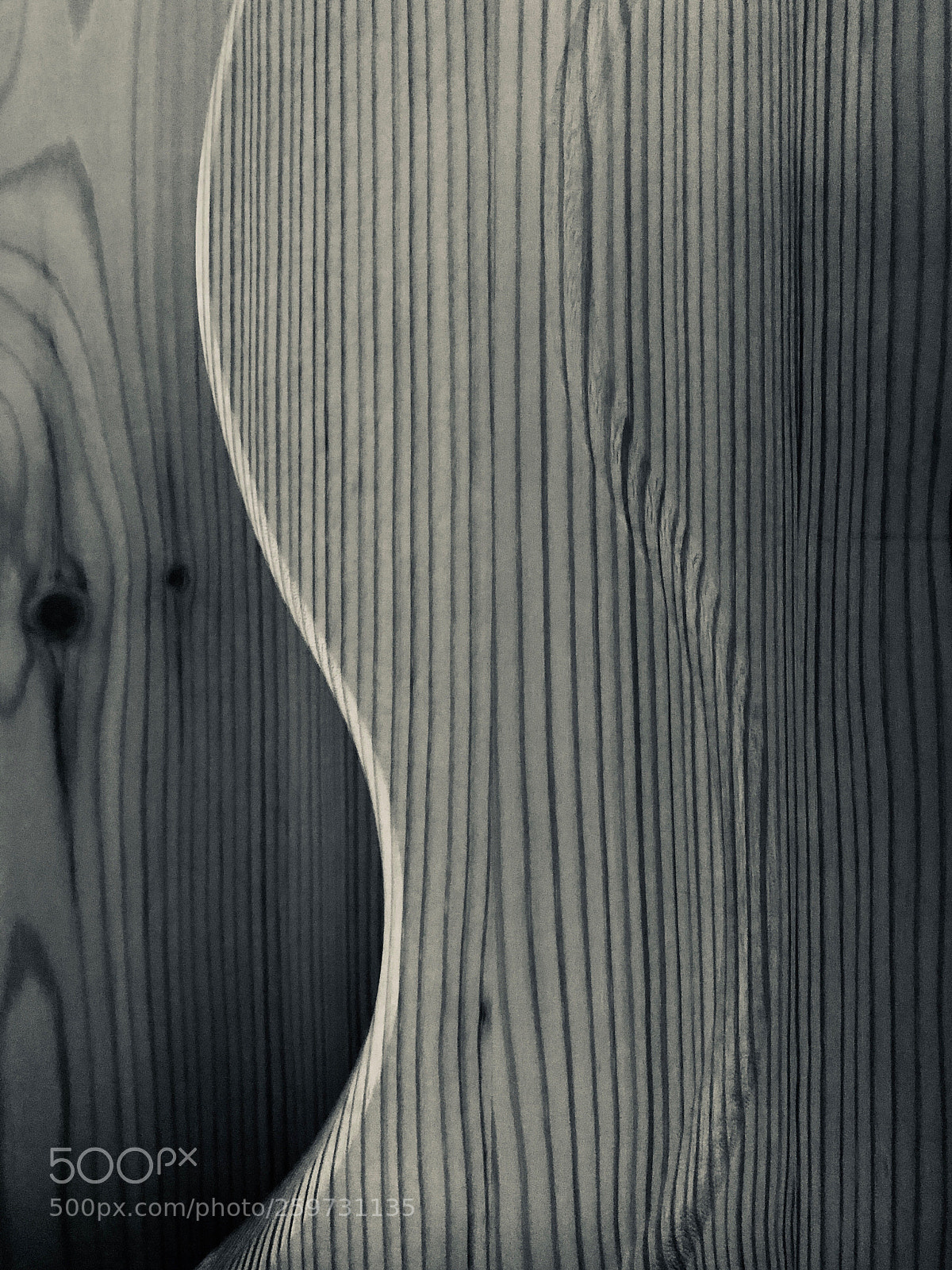 Apple iPhone 8 Plus sample photo. Shaped photography