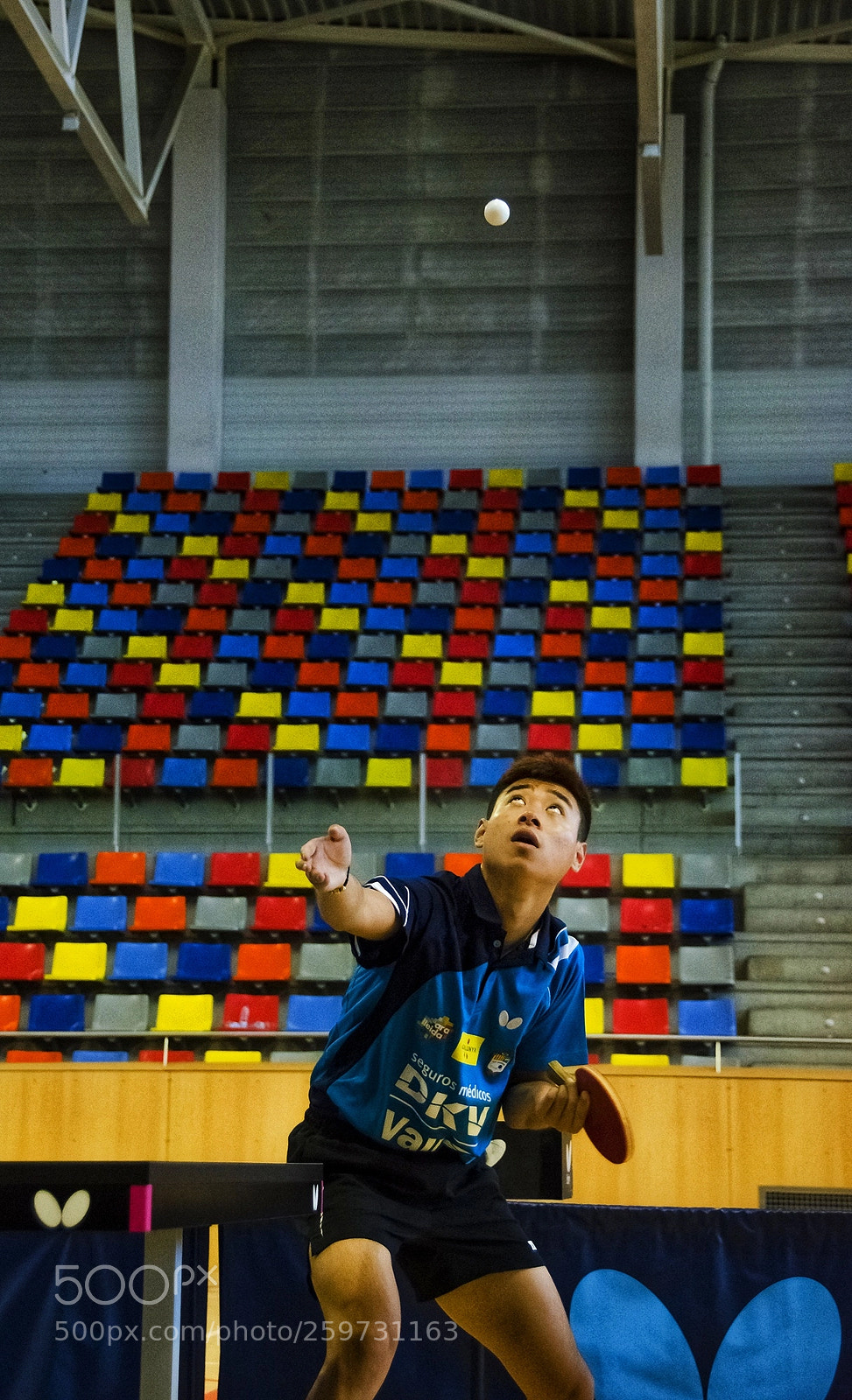 Nikon D5100 sample photo. Untitled photography
